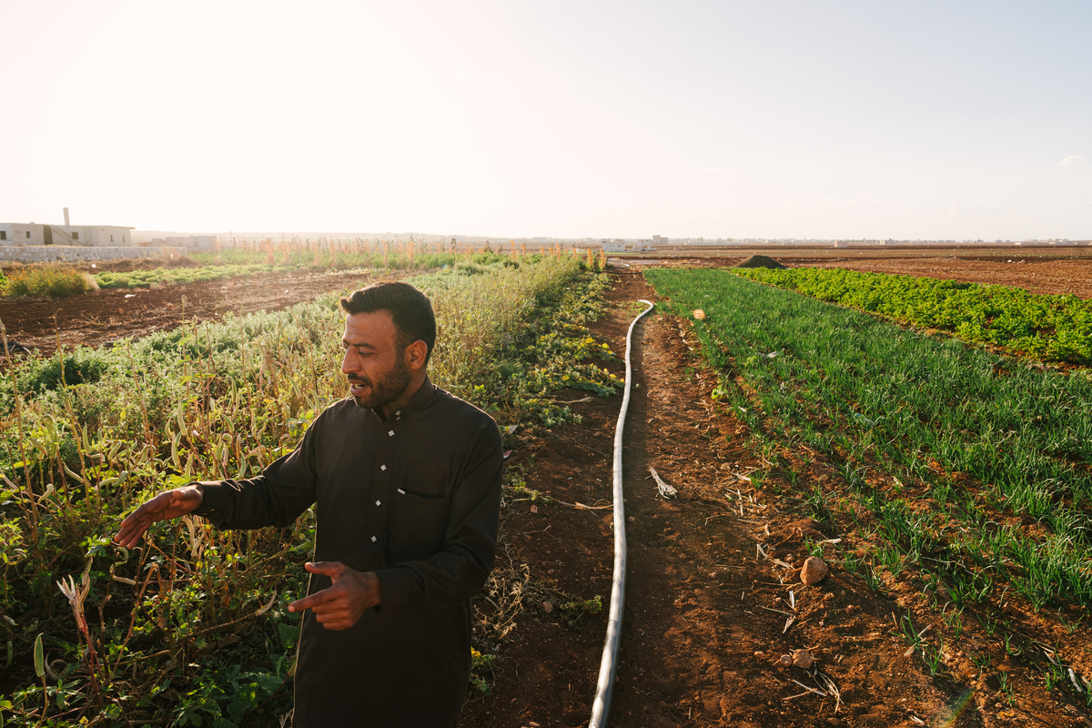 Eco-farming initiatives thriving in Syria: “Seeds of Reunion”