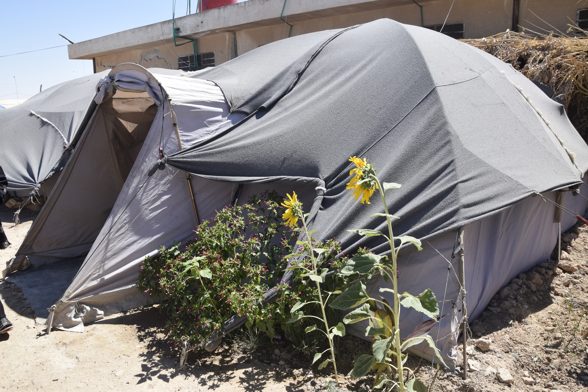 How Feminist Kurdish and Arab Women in Syria are Defending their Gains