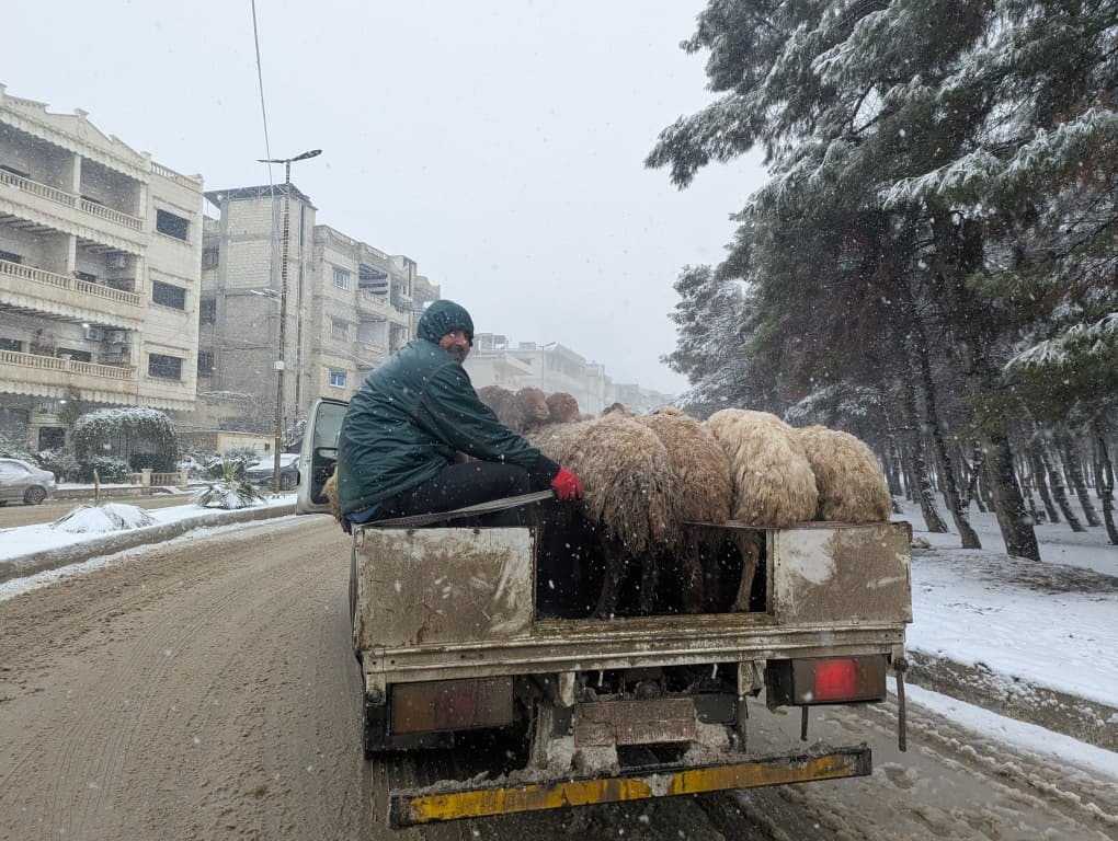 Trapped in Kobane: The City That Defeated ISIS Now Struggles to Survive